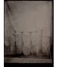 Background 240-001 on collodion plate
